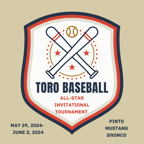 Retro Vintage Baseball Club Sport Emblem Logo